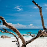 Praslin, Anse Lazio