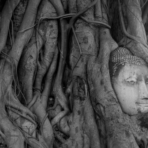 Ayutthaya, Wat Phra Mahathat