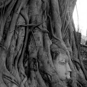 Ayutthaya, Wat Phra Mahathat